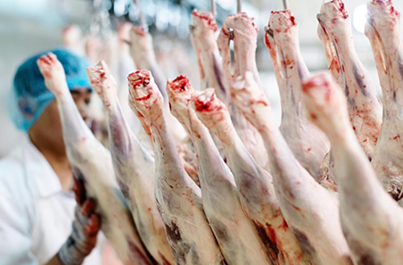 Expert Butcher Tips for Buying the Best Lamb